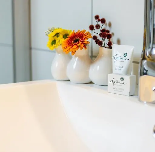 Alpen Beletage Mayrhofen